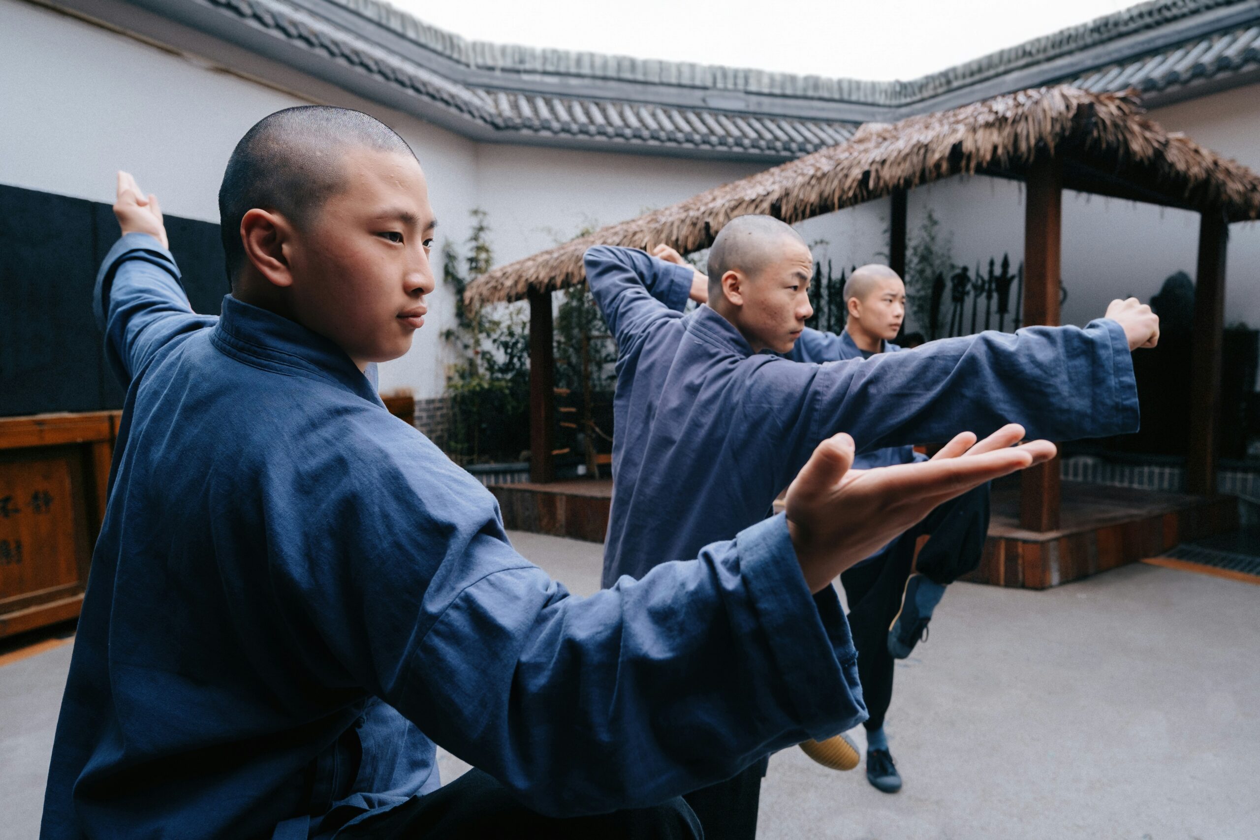 Frank Desiderio- Art of Tai Chi